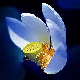 比前作两倍还多！《丝之歌》确认共有53首游戏原声带曲目